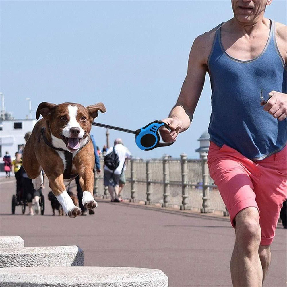 “Adjustable Premium Dog Collar – Strong & Stylish”